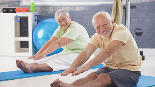 therapeutic exercises for osteoarthritis of the knee